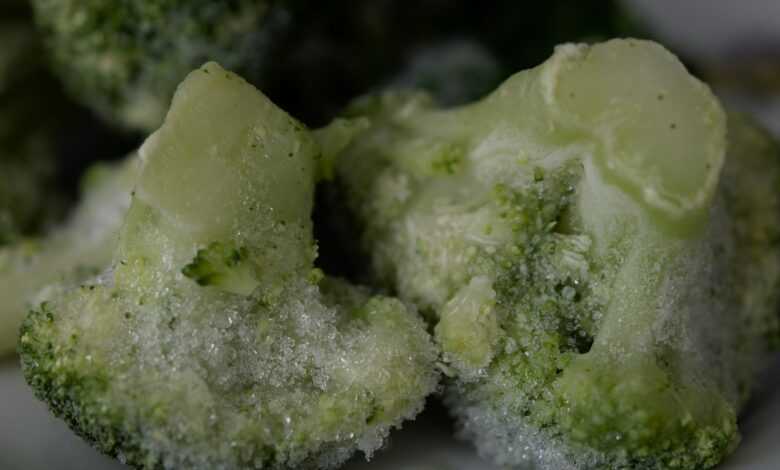 green and white food on white ceramic plate