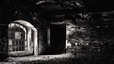 basement, cellar, dark