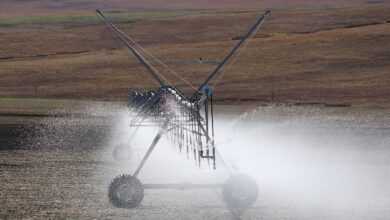 irrigation, irrigation in south africa, irrigation tool, irrigation, irrigation, irrigation, irrigation, irrigation