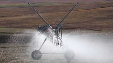 irrigation, irrigation in south africa, irrigation tool, irrigation, irrigation, irrigation, irrigation, irrigation