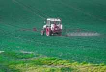 pesticide, glyphosate, plant protection, spray mist, herbicides, pest control, insects die, agriculture, pesticide, pesticide, pesticide, pesticide, pesticide, glyphosate, pest control, pest control