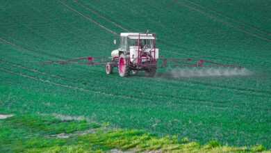 pesticide, glyphosate, plant protection, spray mist, herbicides, pest control, insects die, agriculture, pesticide, pesticide, pesticide, pesticide, pesticide, glyphosate, pest control, pest control