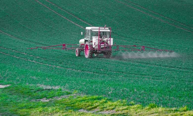 pesticide, glyphosate, plant protection