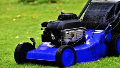 blue lawn mower, lawn mower, lawn mowing, landscaping, blue, summer, nature, lawn mower, lawn mower, lawn mower, lawn mower, lawn mower, lawn mowing, lawn mowing