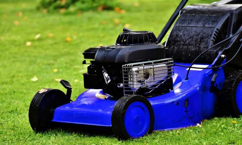 blue lawn mower, lawn mower, lawn mowing, landscaping, blue, summer, nature, lawn mower, lawn mower, lawn mower, lawn mower, lawn mower, lawn mowing, lawn mowing