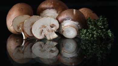 mushrooms, meal, healthy