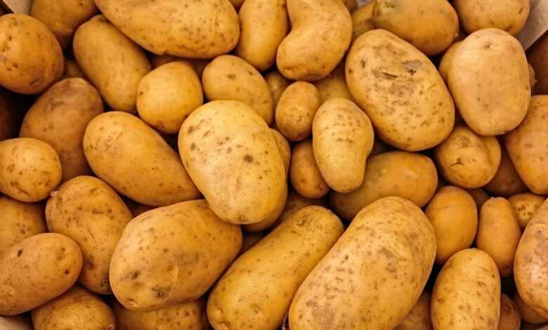 potatoes, vegetables, food, raw, healthy, nutrition, nutritious, organic, harvest, produce, close up, food photography, potatoes, potatoes, potatoes, potatoes, potatoes