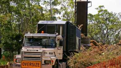 machine, mulch, vehicle