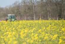 field, tractor, spring, agriculture, fields, agricultural machine, landscape, cultivator, nature, cultivate