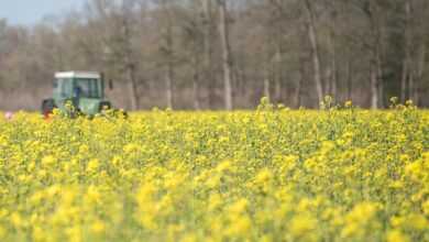 field, tractor, spring, agriculture, fields, agricultural machine, landscape, cultivator, nature, cultivate