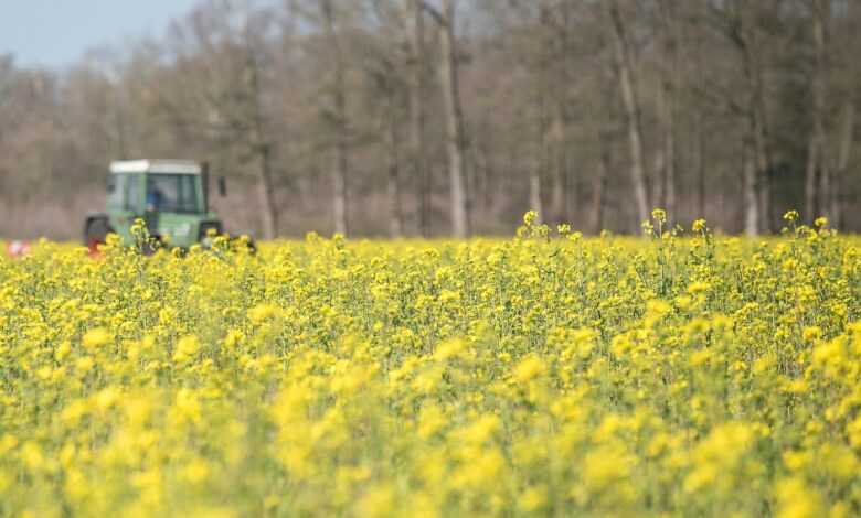 field, tractor, spring, agriculture, fields, agricultural machine, landscape, cultivator, nature, cultivate