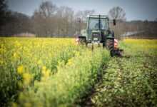 catch crop, tractor, field, cultivate, agriculture, agricultural economics, agricultural machine, cultivator, agricultural engineering, nature, spring