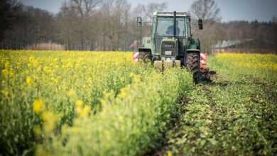 catch crop, tractor, field, cultivate, agriculture, agricultural economics, agricultural machine, cultivator, agricultural engineering, nature, spring
