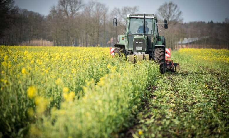 catch crop, tractor, field, cultivate, agriculture, agricultural economics, agricultural machine, cultivator, agricultural engineering, nature, spring