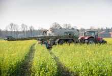 catch crop, oilseed rape, intercropping, crop rotation, agriculture, nature, slurry, fertilization, slurry tanker, field, fields, manure, tractor, plant