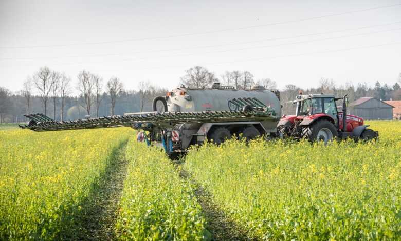 catch crop, oilseed rape, intercropping, crop rotation, agriculture, nature, slurry, fertilization, slurry tanker, field, fields, manure, tractor, plant