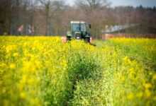 catch crop, tractor, field, cultivate, agriculture, nature, agricultural economics, agricultural machine, cultivator, agricultural engineering, spring