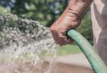 garden hose, hose, watering, gardening, garden, summer, water, sprinkle, hand, holding, man, people, work, leisure, nature, person, lifestyle, male, gardener, spray, hands, garden hose, hose, hose, hose, hose, hose