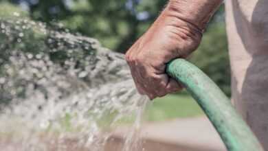 garden hose, hose, watering, gardening, garden, summer, water, sprinkle, hand, holding, man, people, work, leisure, nature, person, lifestyle, male, gardener, spray, hands, garden hose, hose, hose, hose, hose, hose