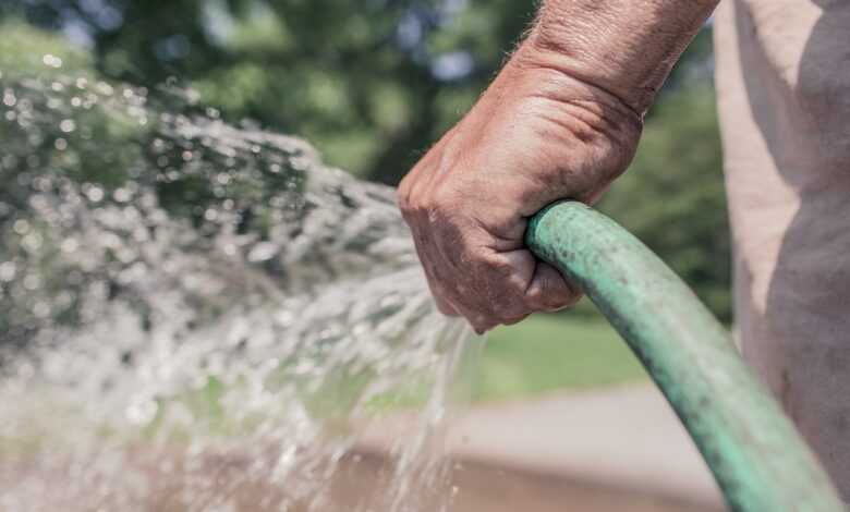 garden hose, hose, watering, gardening, garden, summer, water, sprinkle, hand, holding, man, people, work, leisure, nature, person, lifestyle, male, gardener, spray, hands, garden hose, hose, hose, hose, hose, hose