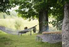 tree, hammocks, trees, grass, summer, relaxation, resort, holiday, tranquil, outdoor, peaceful, rest, sleep, break, leaves, country, rural, relaxing, chill, nature, relax, resort, peaceful, rest, rest, sleep, sleep, sleep, sleep, sleep, break, break, country, relaxing, relaxing, relaxing, chill, chill, chill, chill, relax, relax, relax