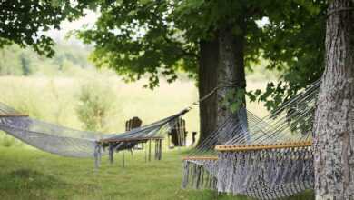 tree, hammocks, trees, grass, summer, relaxation, resort, holiday, tranquil, outdoor, peaceful, rest, sleep, break, leaves, country, rural, relaxing, chill, nature, relax, resort, peaceful, rest, rest, sleep, sleep, sleep, sleep, sleep, break, break, country, relaxing, relaxing, relaxing, chill, chill, chill, chill, relax, relax, relax