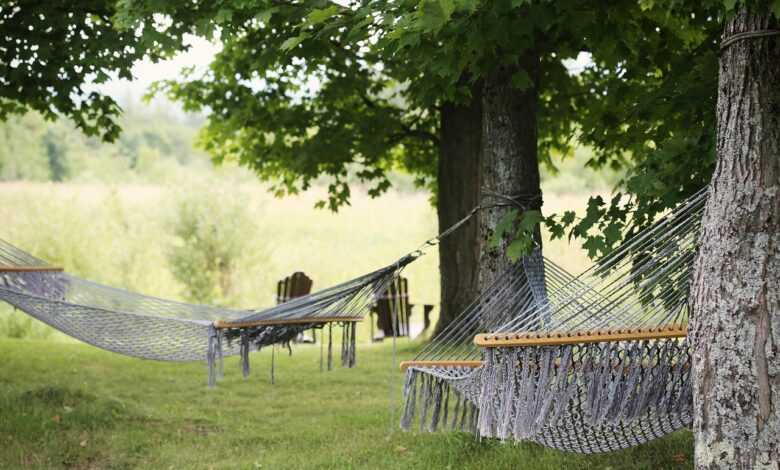 tree, hammocks, trees, grass, summer, relaxation, resort, holiday, tranquil, outdoor, peaceful, rest, sleep, break, leaves, country, rural, relaxing, chill, nature, relax, resort, peaceful, rest, rest, sleep, sleep, sleep, sleep, sleep, break, break, country, relaxing, relaxing, relaxing, chill, chill, chill, chill, relax, relax, relax