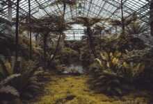 conservatory, plants, greenhouse, trees, garden, nature, eco, horticulture, ecosystem, glasshouse, environment, ecology, agriculture, hexagon, tropical, botanical, architecture, conservation, environmental, greenhouse, greenhouse, greenhouse, greenhouse, greenhouse, ecosystem, ecosystem