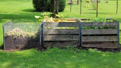 compost, garden, waste, bio, nature, garden helpers, horticulture, garden compost, composting, composter, circuit, recovery, decay, compost, compost, compost, compost, compost, composting