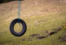 car tire, swing, tire swing, meadow, outdoors, game device, swing device, tire swing, tire swing, tire swing, tire swing, tire swing