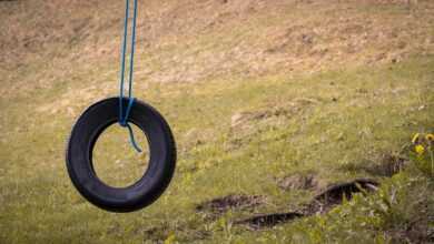 car tire, swing, tire swing, meadow, outdoors, game device, swing device, tire swing, tire swing, tire swing, tire swing, tire swing