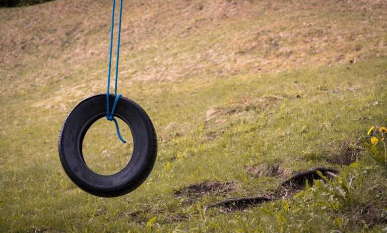 car tire, swing, tire swing, meadow, outdoors, game device, swing device, tire swing, tire swing, tire swing, tire swing, tire swing
