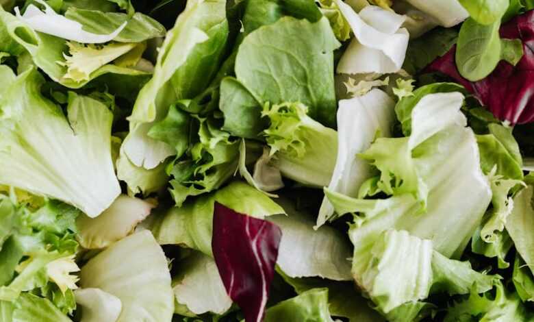 Top view of healthy lettuce and spinach salad served in white round bowl