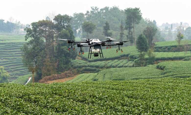 dji, drone, plant protection drone, farmland, agriculture, plant protection, t16, tea garden, agras, farming, uav