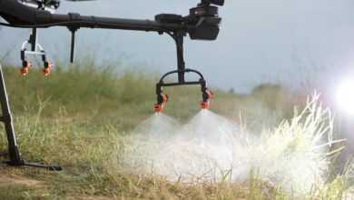 dji, drone, plant protection drone, farmland, agriculture, plant protection, t16, rice, in rice field, agras, farming, uav, dji, dji, drone, drone, rice, rice, uav, uav, uav, uav, uav