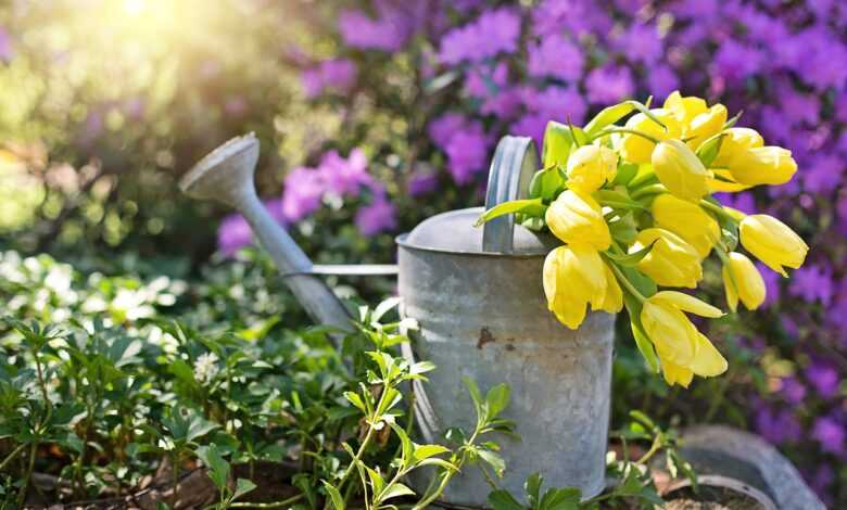 watering can, vintage, garden