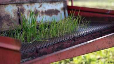 grass, garden, tractor