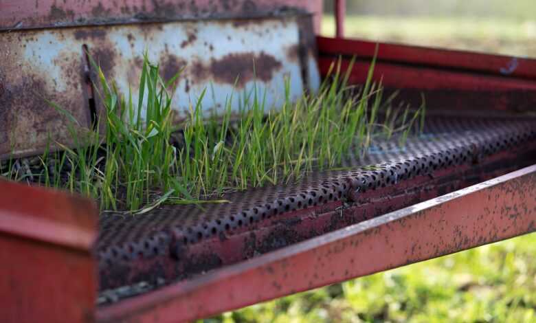 grass, garden, tractor