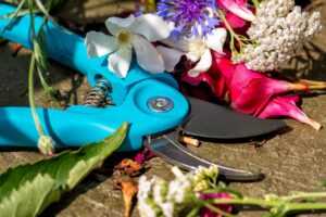 pruning shears, to cut, sharp