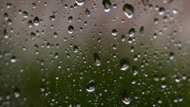 drops, window, rain, glass, rainy, weather, humidity, raindrop, rainy day, nature, rude, wet, humidity, humidity, humidity, humidity, humidity, rainy day