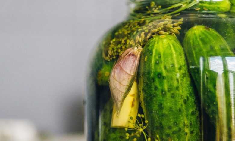 pickled cucumbers, silage, cucumber