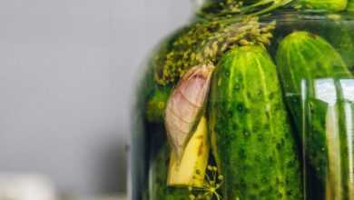 pickled cucumbers, silage, cucumber