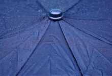 rain, umbrella, nature, raindrops, raining