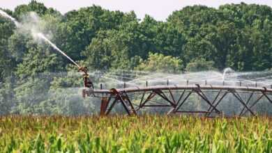 farm, agriculture, irrigation