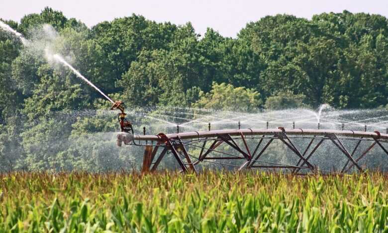 farm, agriculture, irrigation