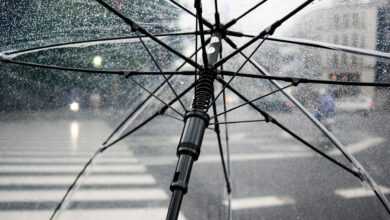 umbrella, rain, wet, weather, cold, raindrops, clear umbrella, city, crosswalk, storm, nature, rainy, parasol, water