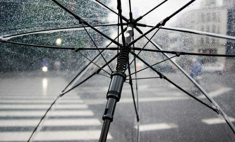 umbrella, rain, wet, weather, cold, raindrops, clear umbrella, city, crosswalk, storm, nature, rainy, parasol, water