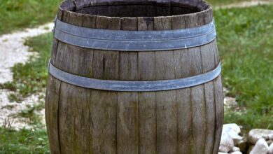 barrel, rainwater, water, nature, watering