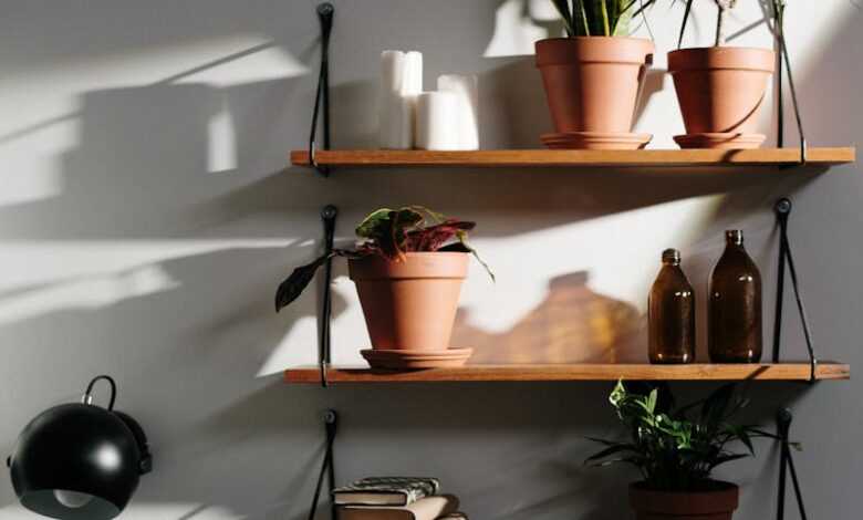 Green Potted Plant on Brown Wooden Shelf