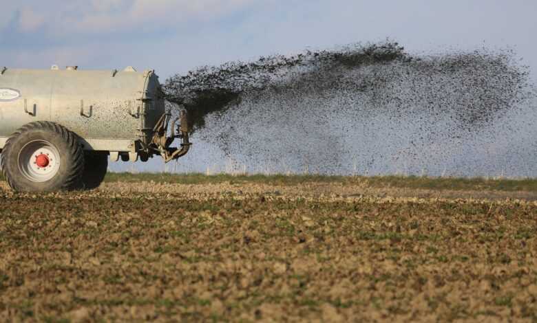 tractor, field, agriculture